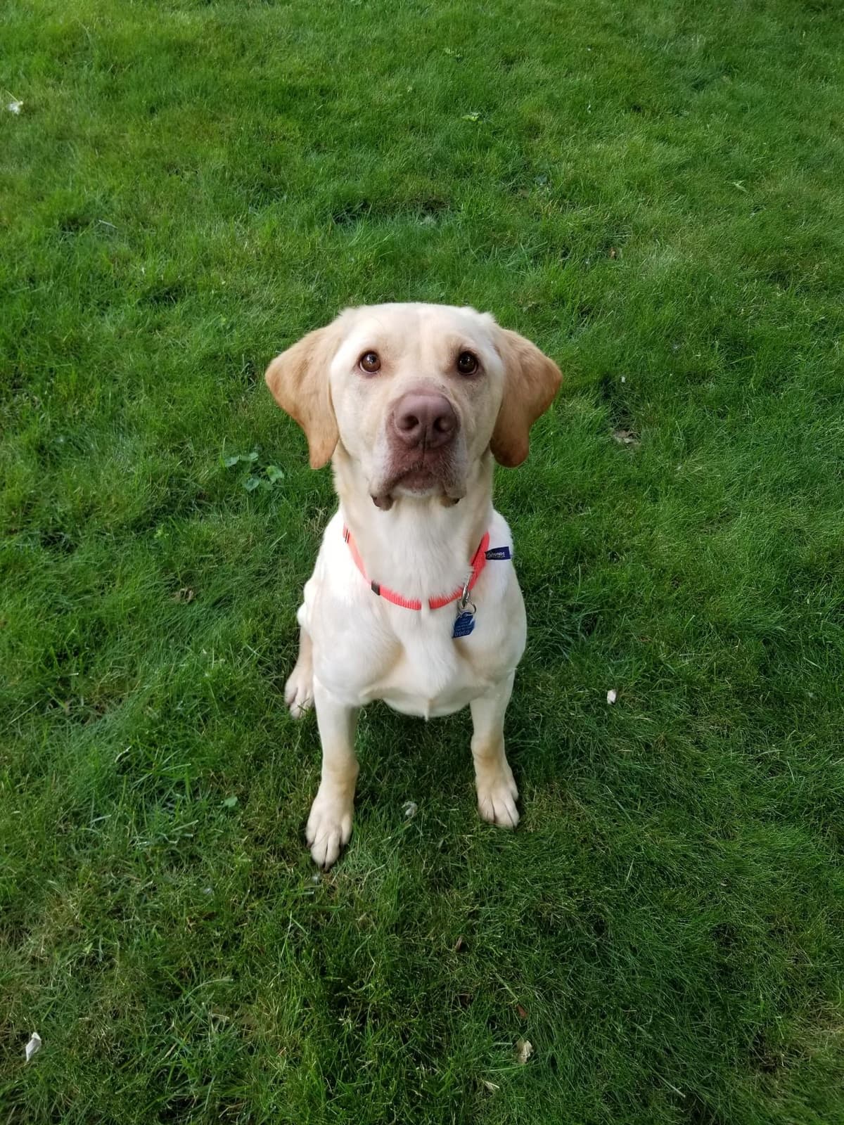 Jasper breeder image 4