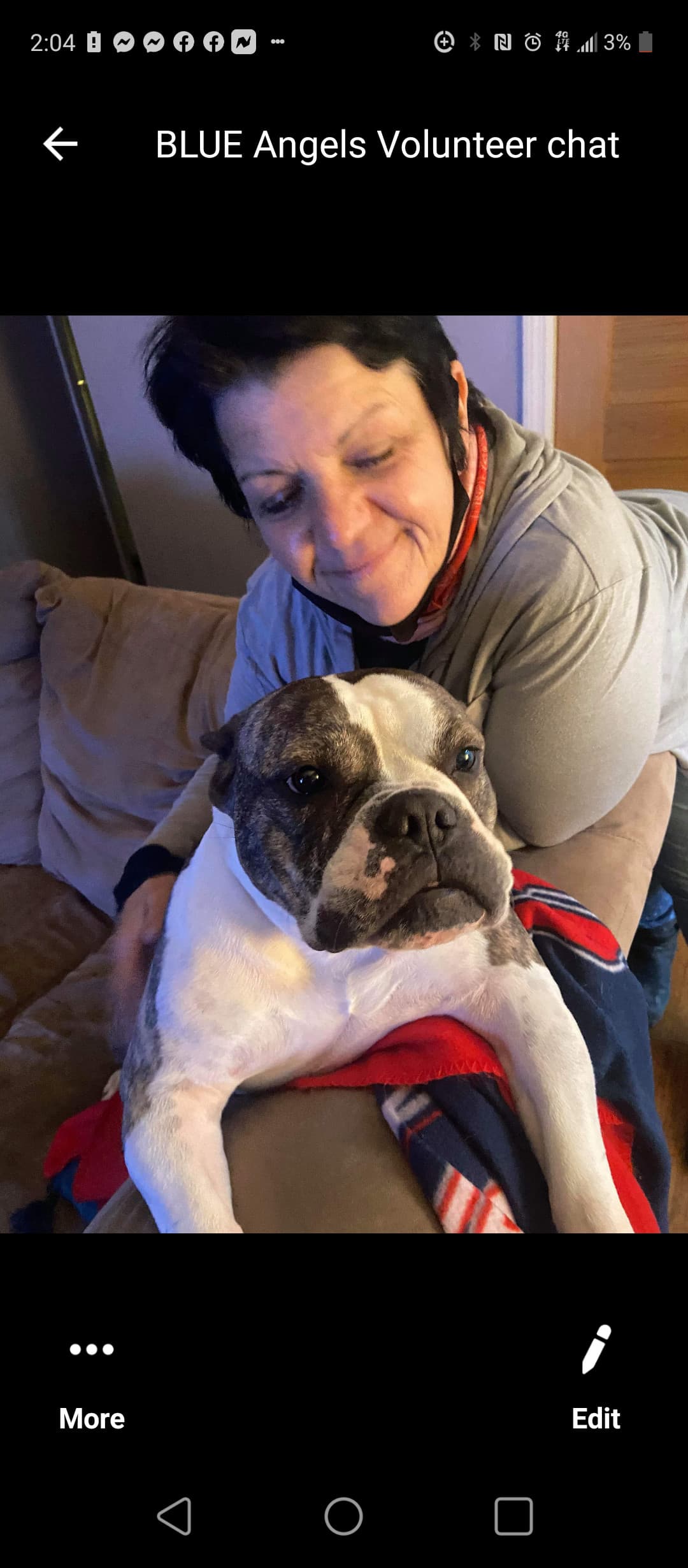 Honey 9 breeder image 5