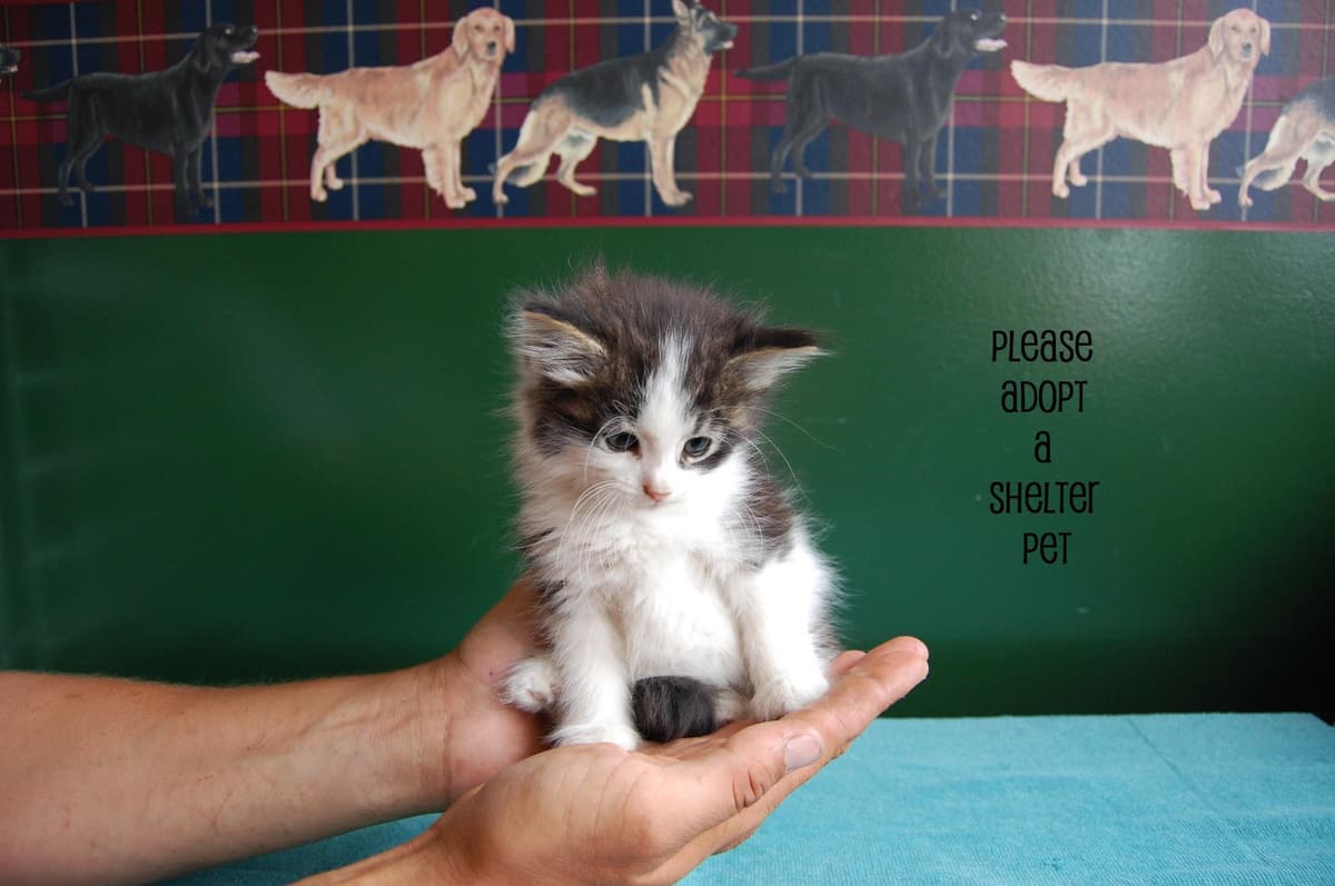 Kiley breeder image 6