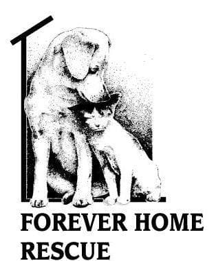 Archie breeder image 1