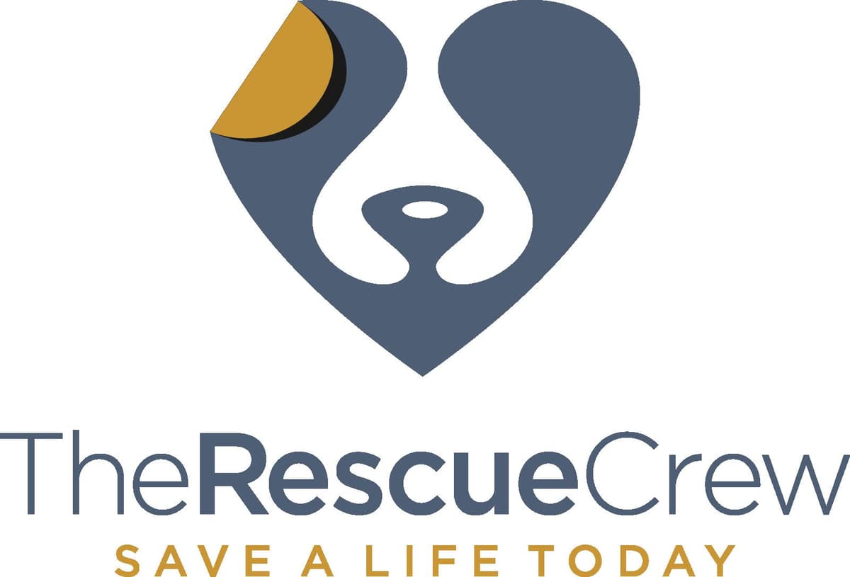 Bear breeder image 1