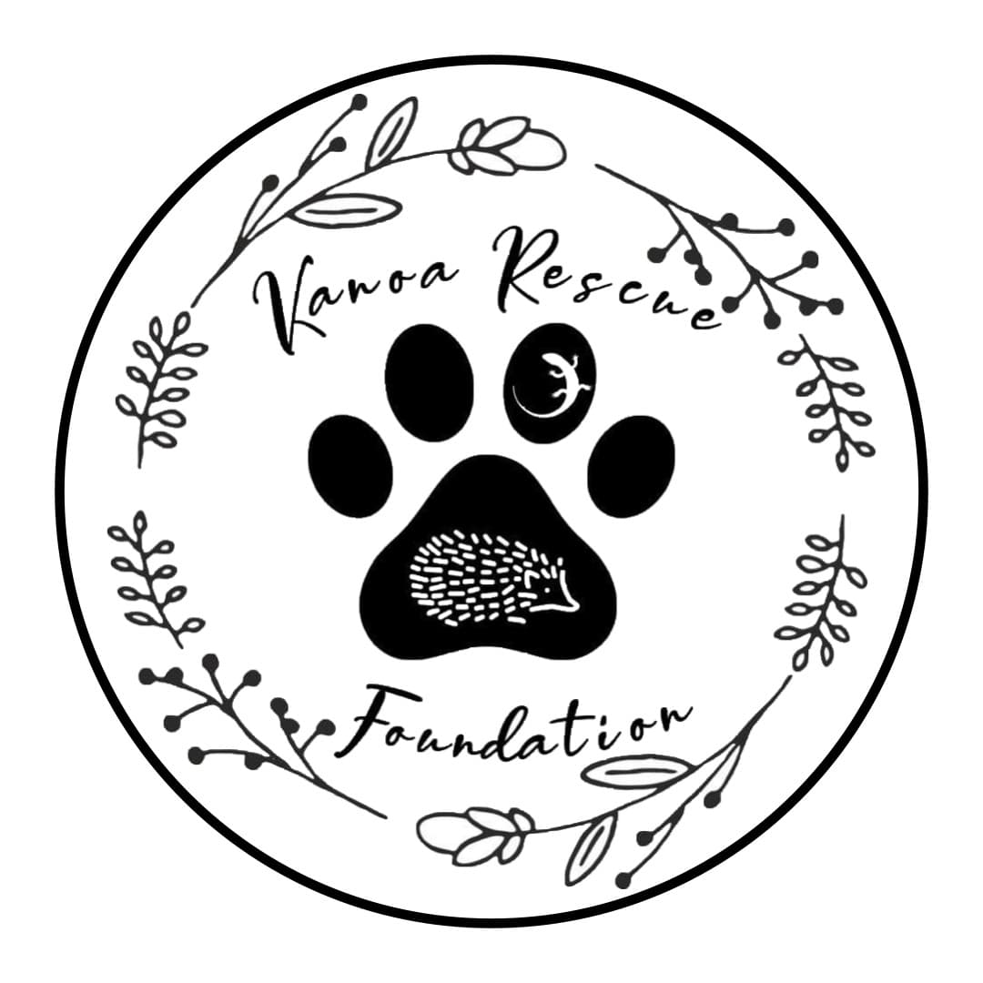 Nyla breeder image 2