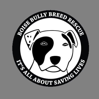 Estella **Courtesy Post. Out of town pet. See below for details** breeder image 1