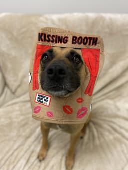 Pups Without Borders