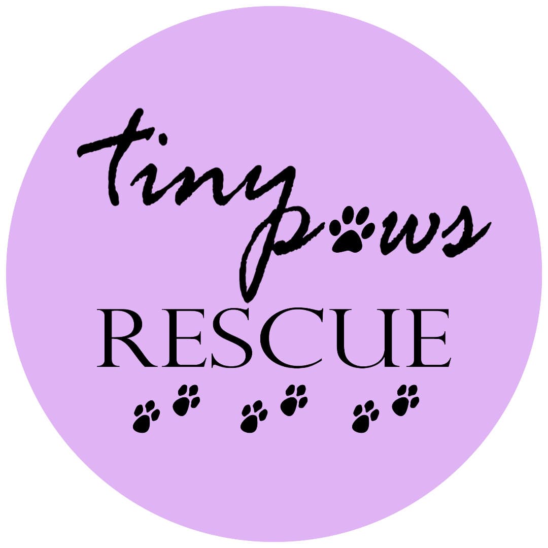 Bitsy breeder image 1