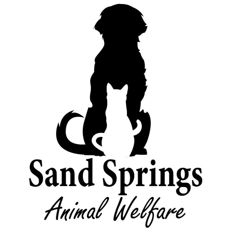 SSAW-Stray-23316 breeder image 2