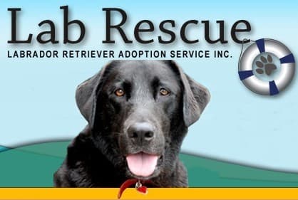 Bama breeder image 1