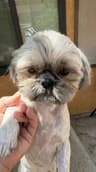 Benny