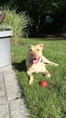 Buck-Training school graduate seeks someone to believe in him.