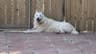 Casper