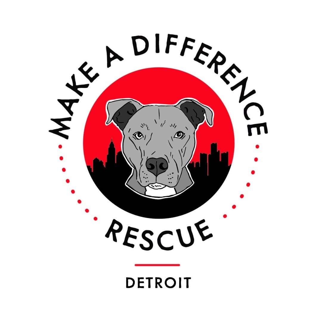 DILLY- Needs a foster/forever home! breeder image 3