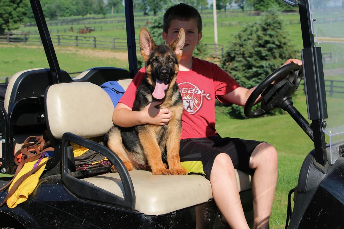 Female companion breeder image 18