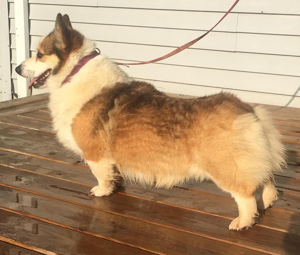 Anna breeder image 35