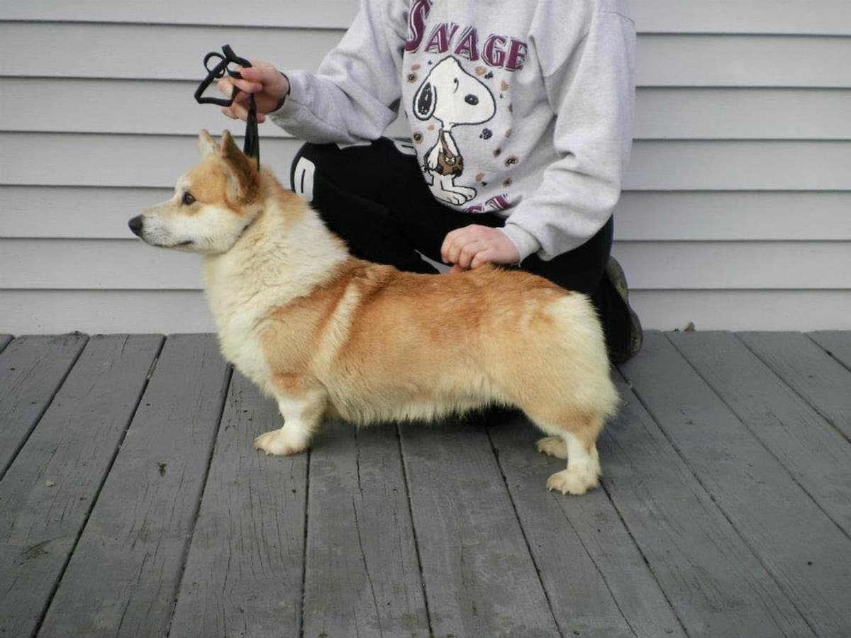 Anna breeder image 36
