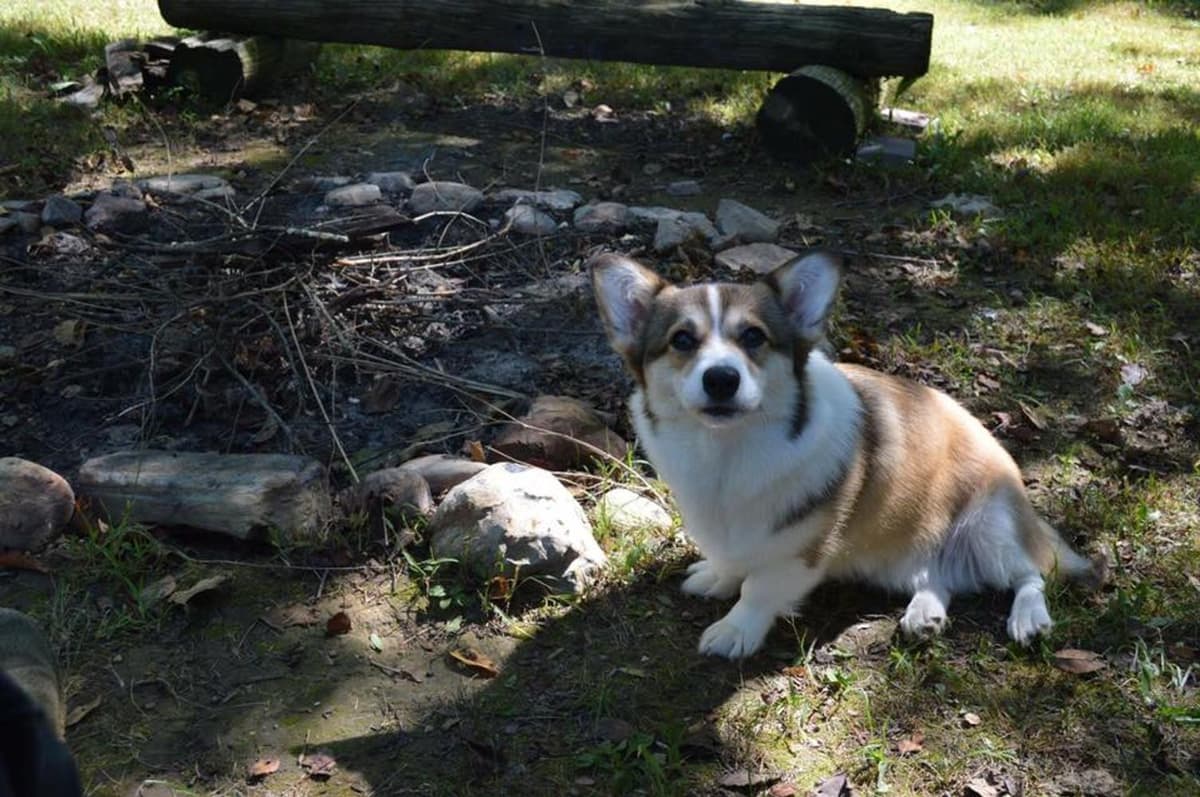 Anna breeder image 44