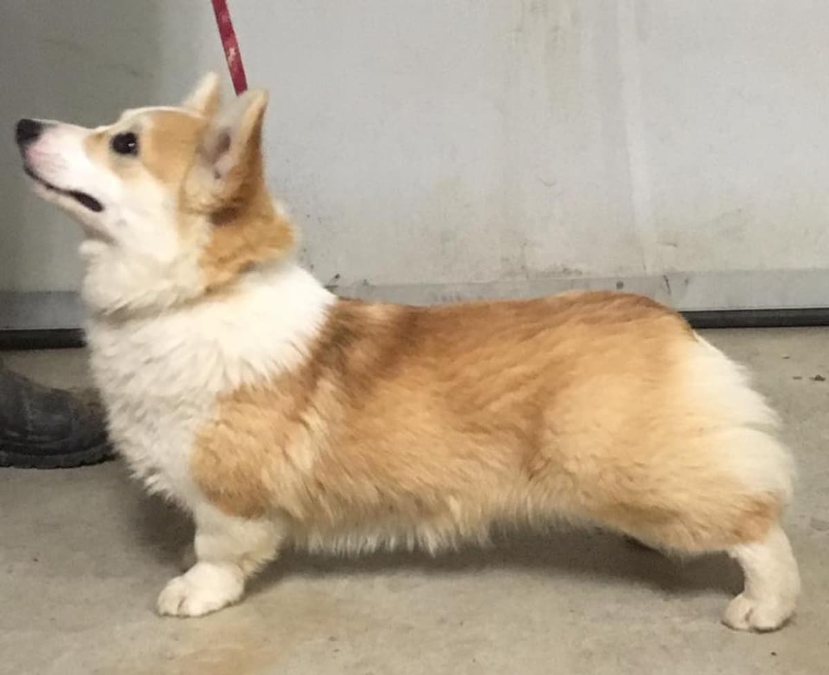 Anna breeder image 45