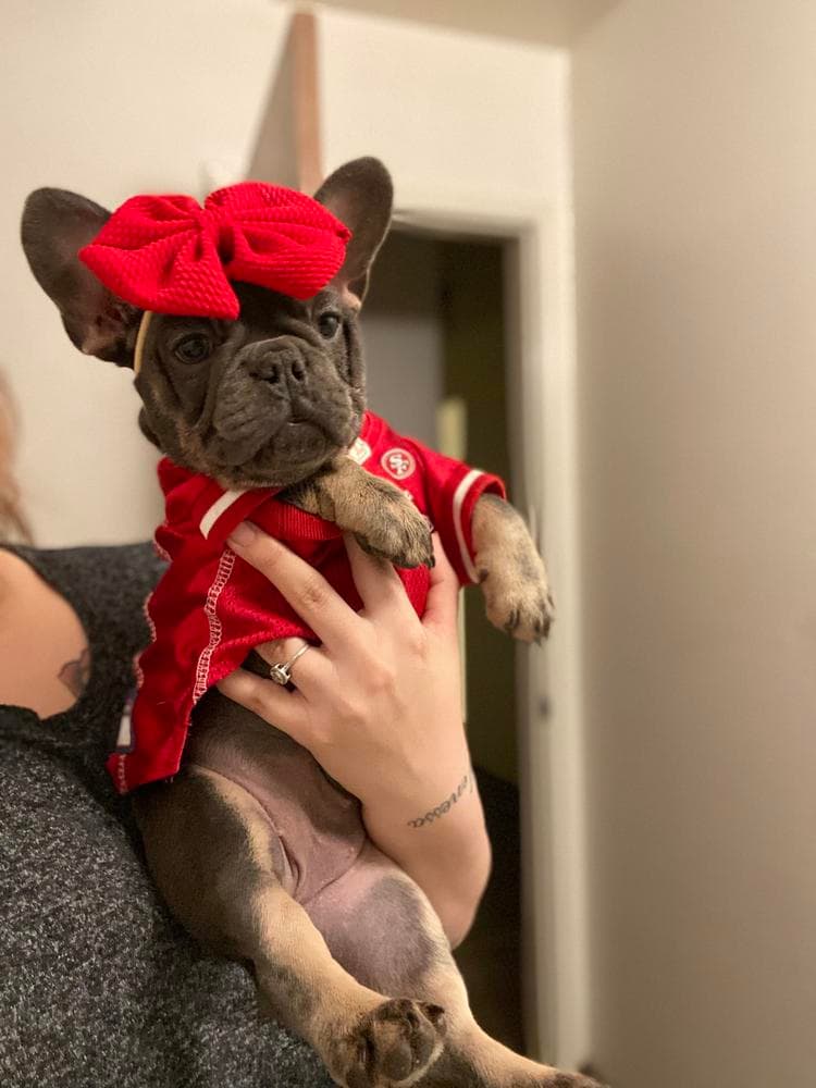 Girl 2 breeder image 17