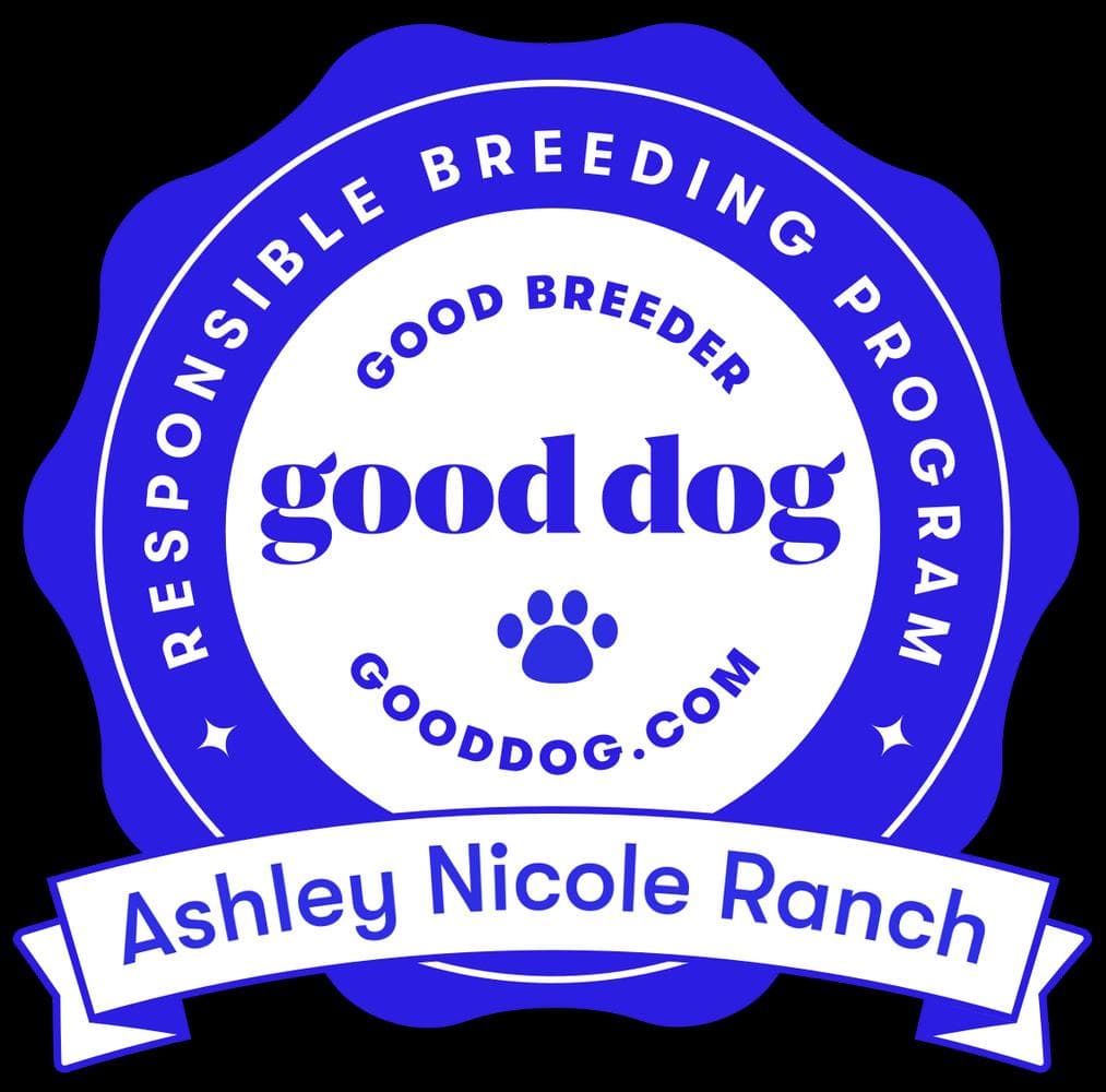 Jessie breeder image 41