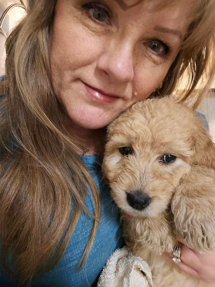 Dolly breeder image 49