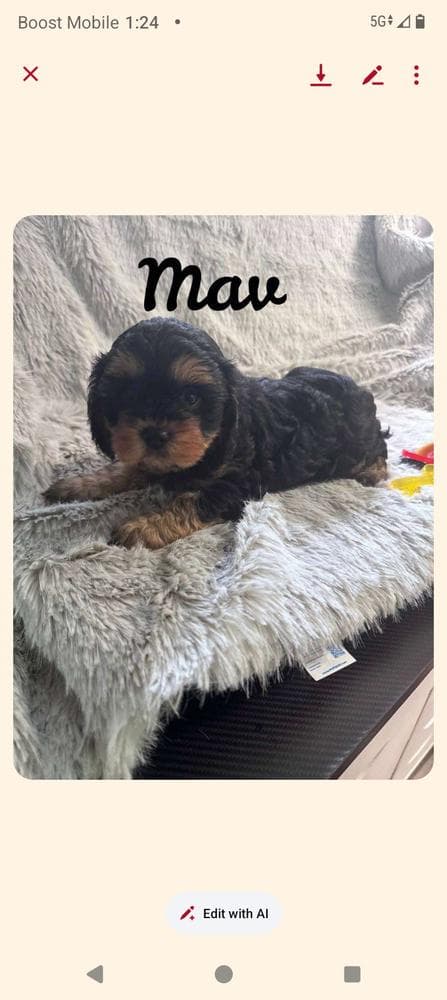 Luna breeder image 46