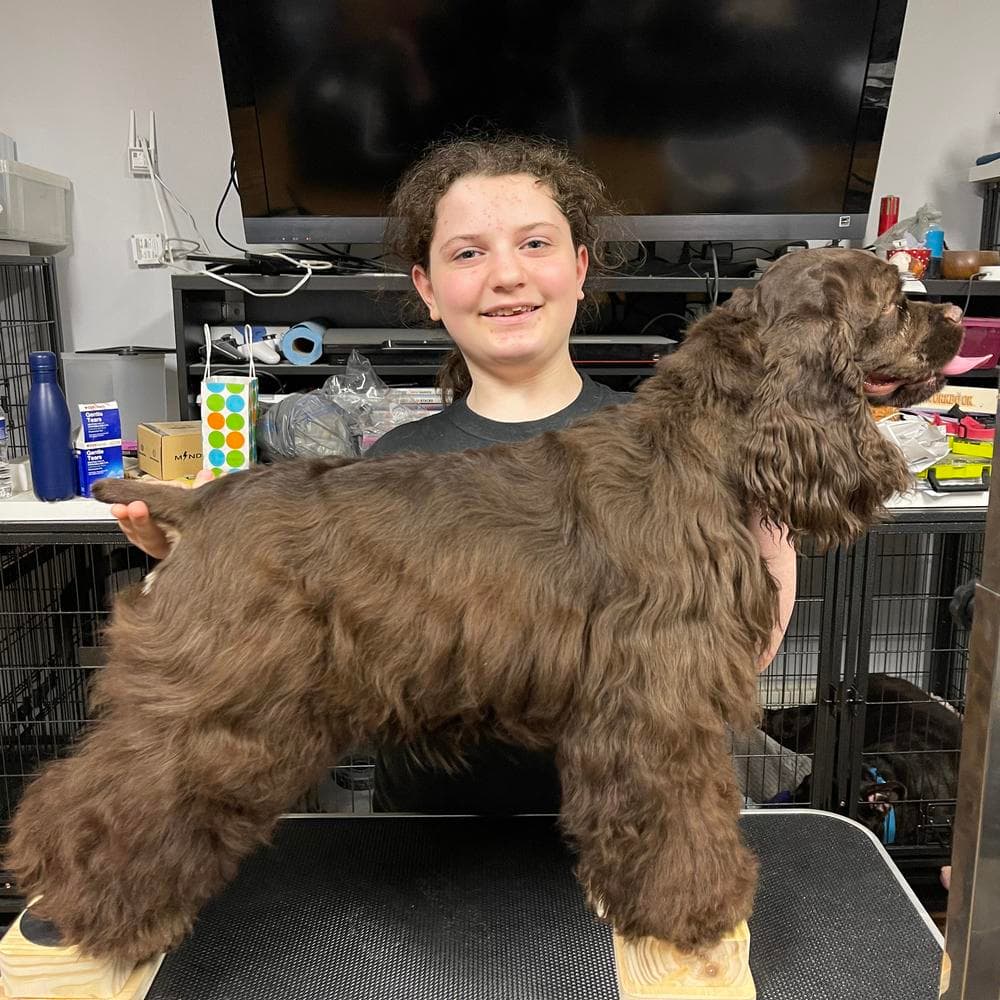 Baloo breeder image 2