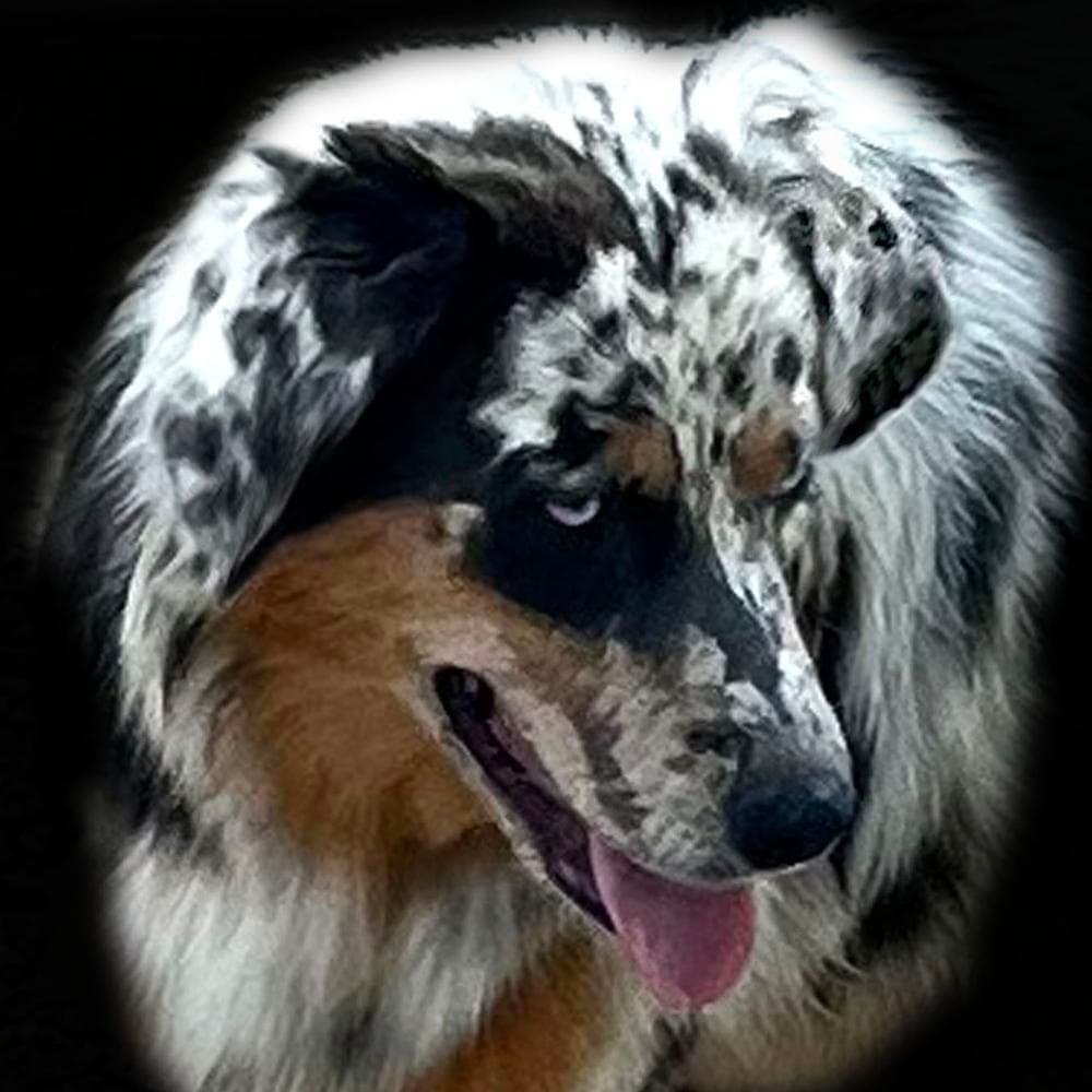 Striker breeder image 2