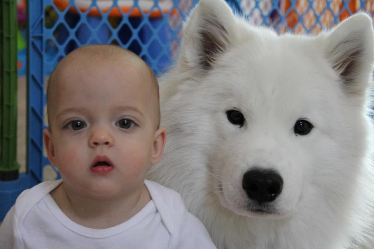 Boy 1 breeder image 9