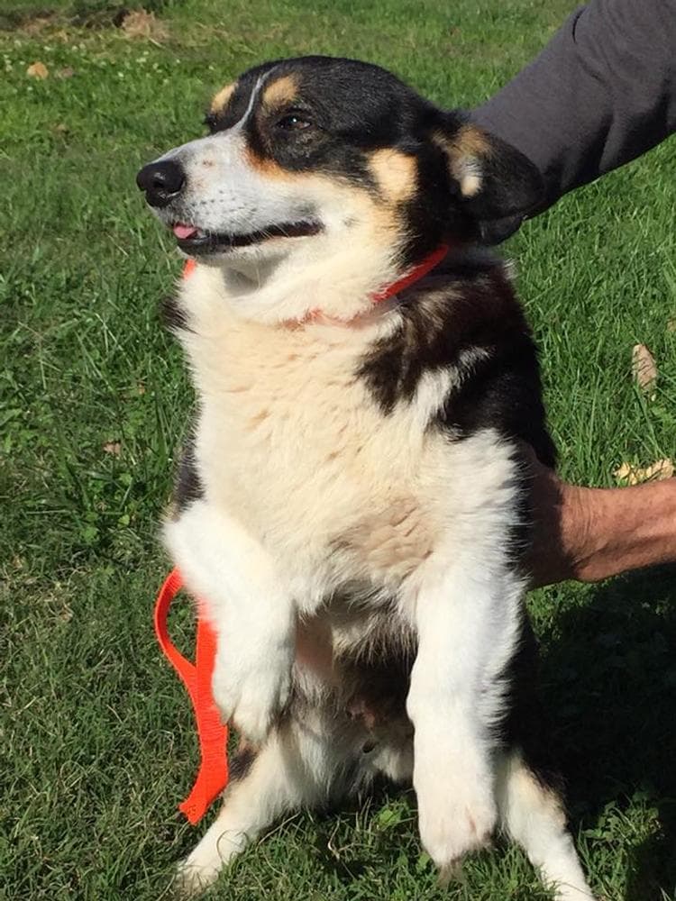 Girl 1 breeder image 8