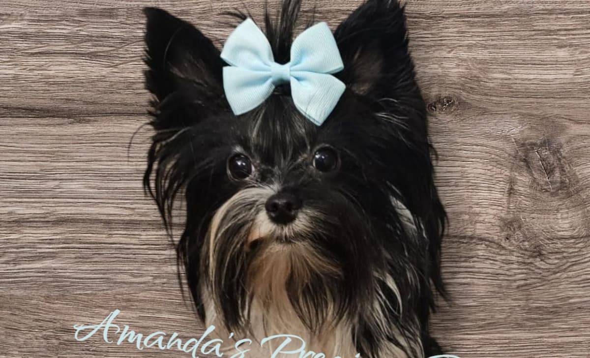 Mia breeder image 2