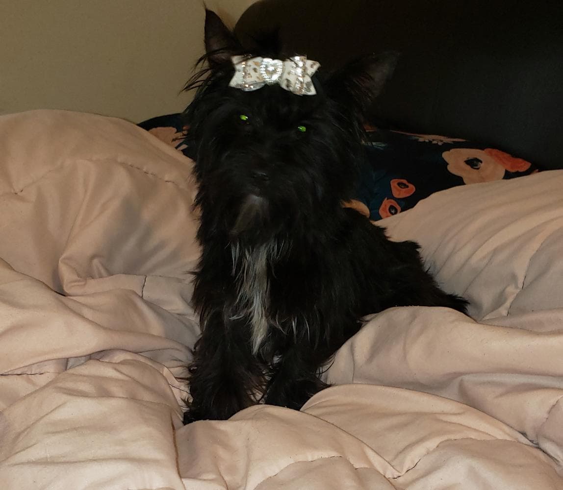 Mia breeder image 32