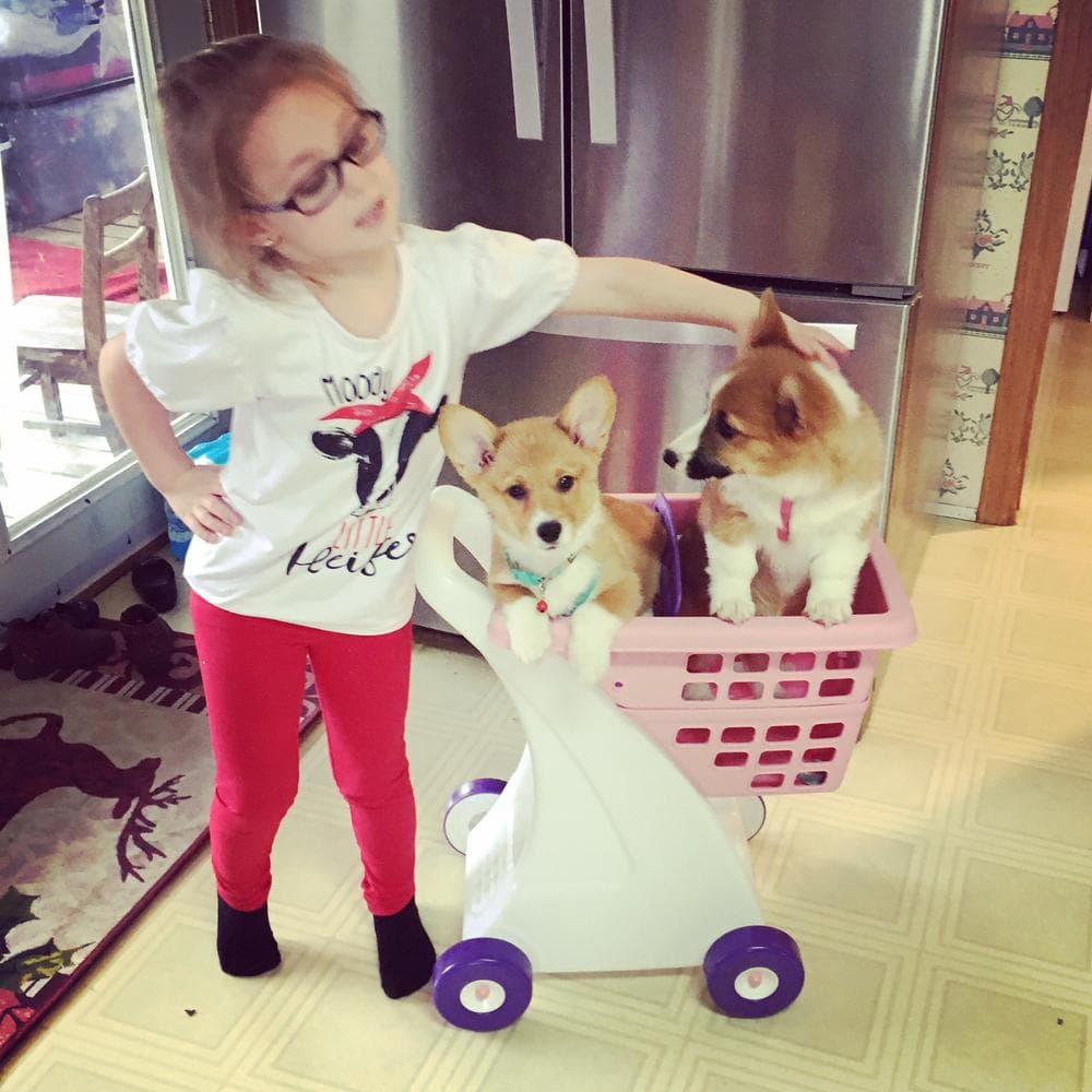 Belle breeder image 22