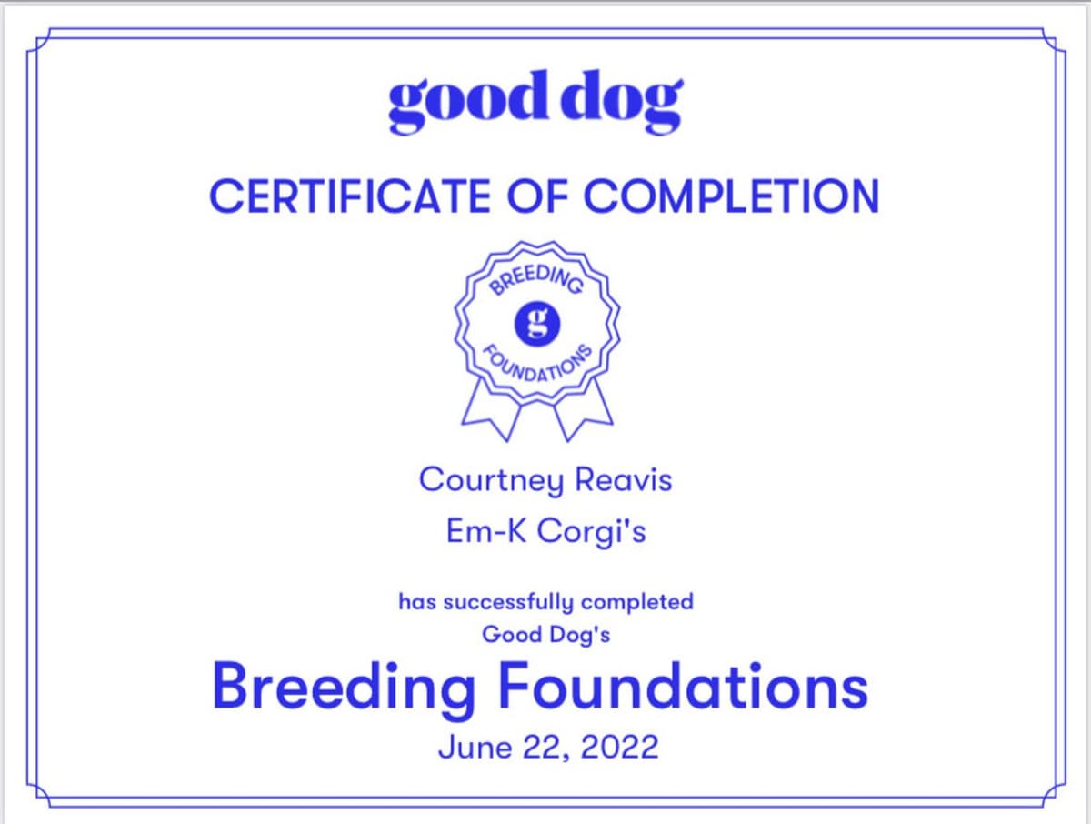 Belle breeder image 24