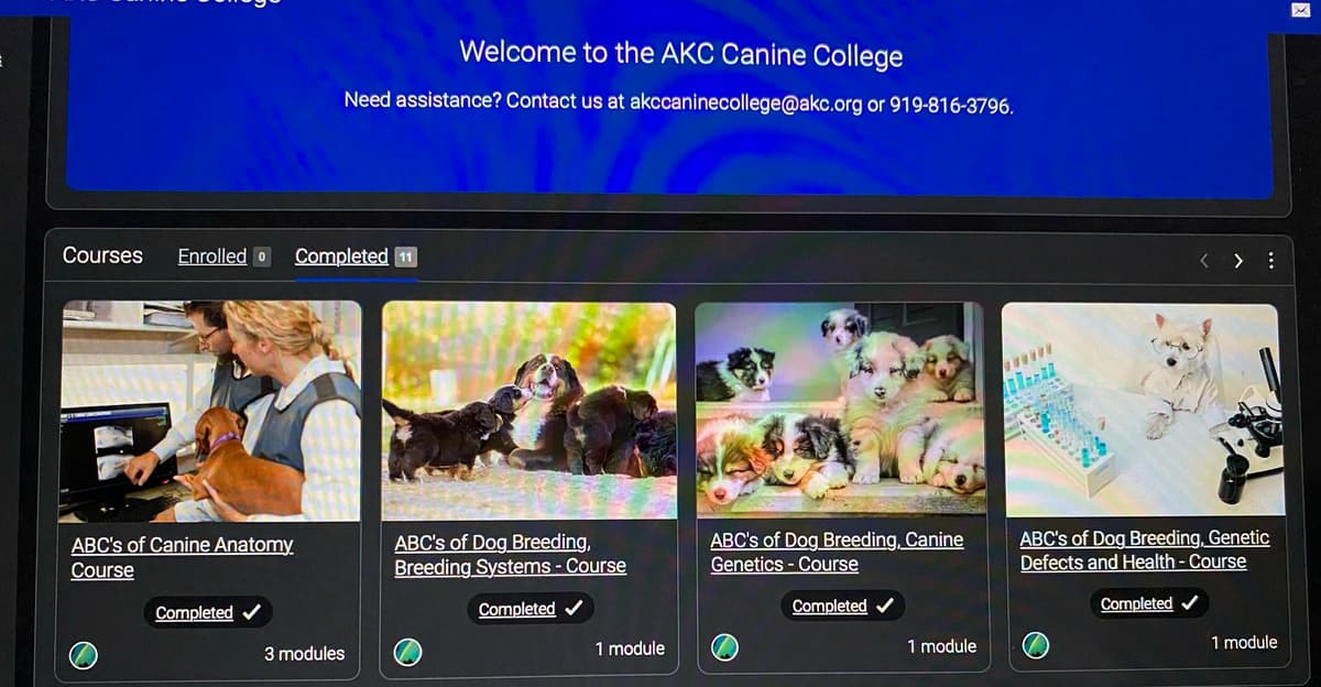 Belle breeder image 26