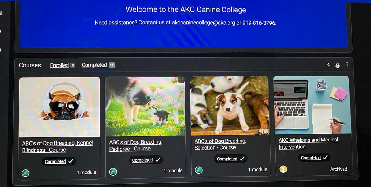Belle breeder image 27
