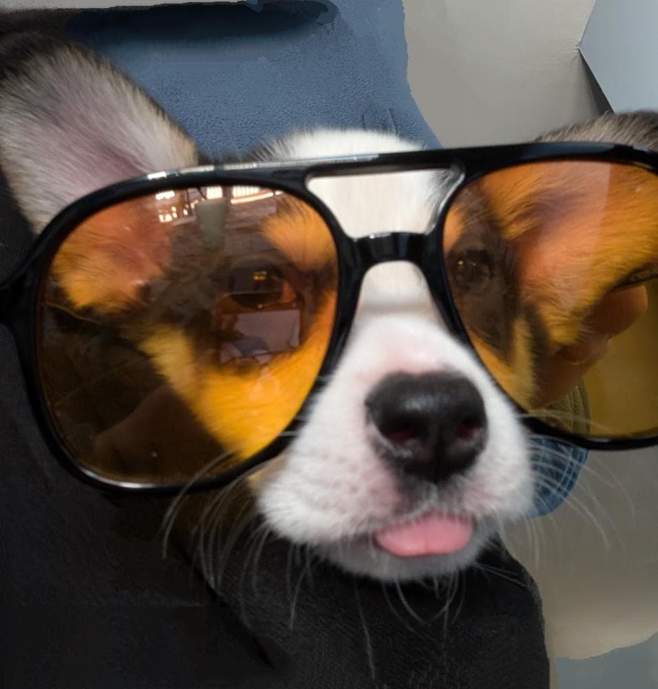 Belle breeder image 36