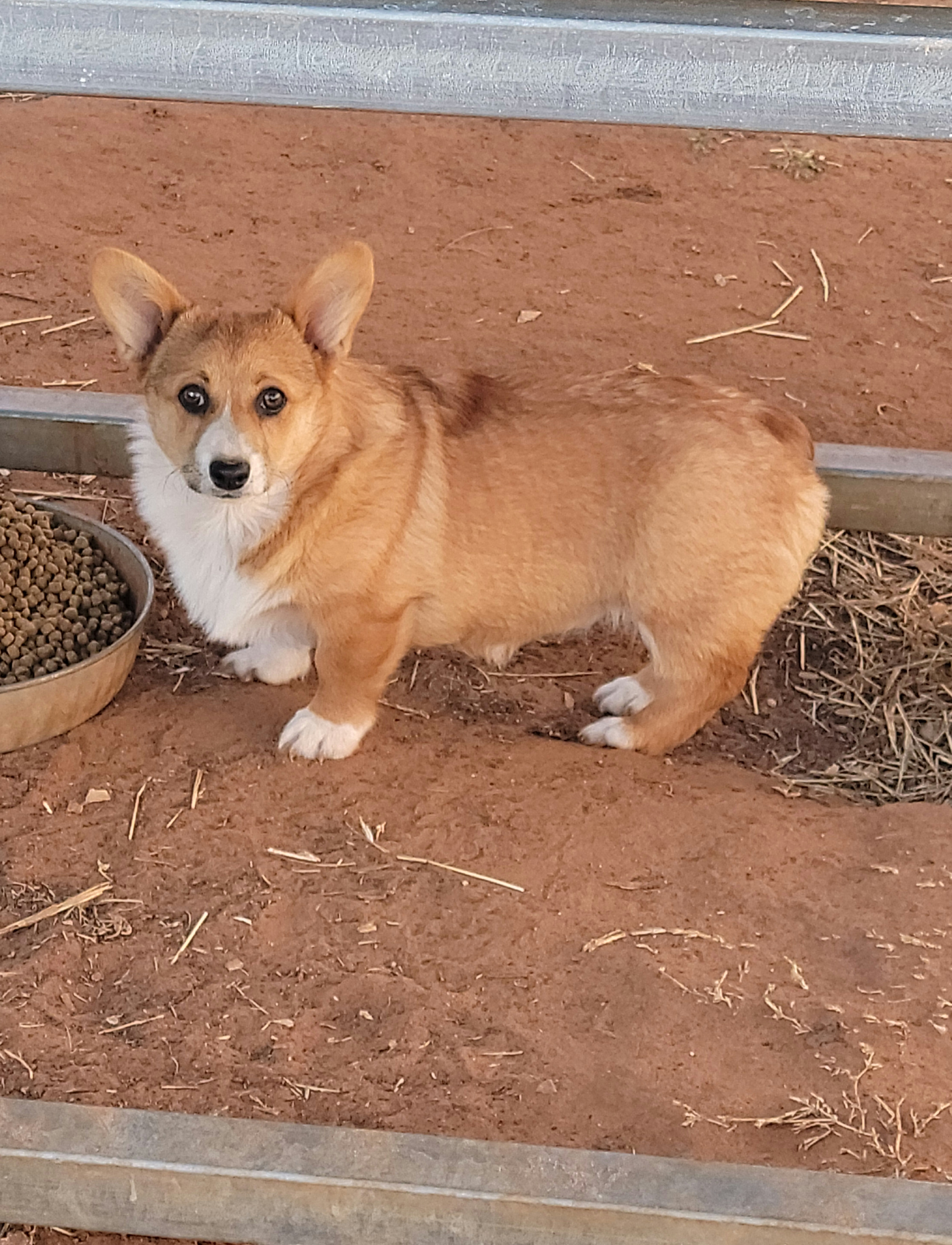 Rip breeder image 34