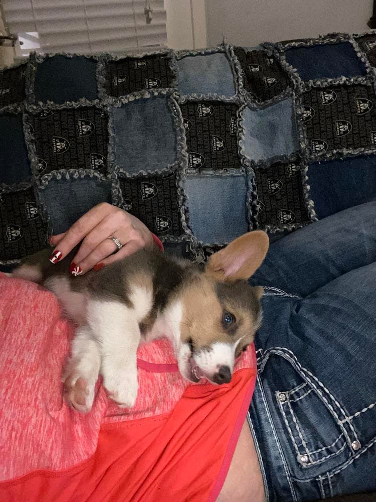 Boy 1 breeder image 8