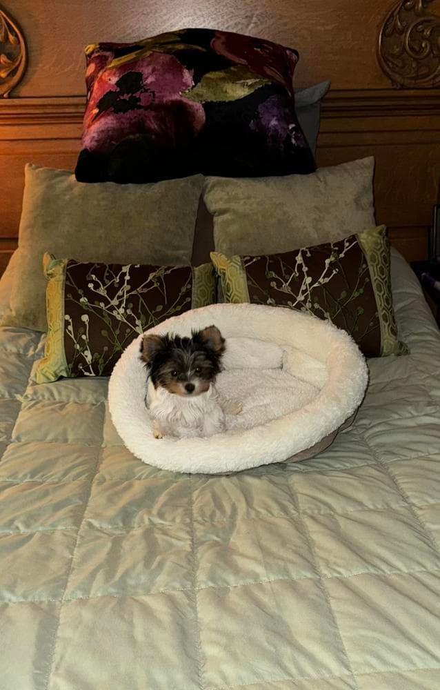 Ted breeder image 28