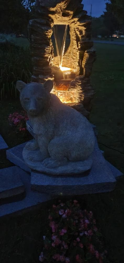 Sunset breeder image 36