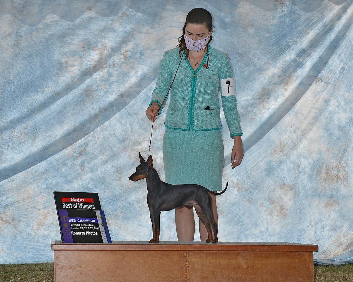 Boy 2 breeder image 11