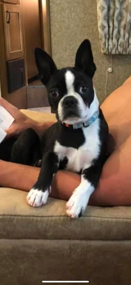 Barkley breeder image 10