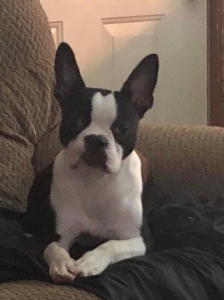 Barkley breeder image 30
