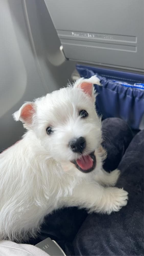 Boy 2 breeder image 32