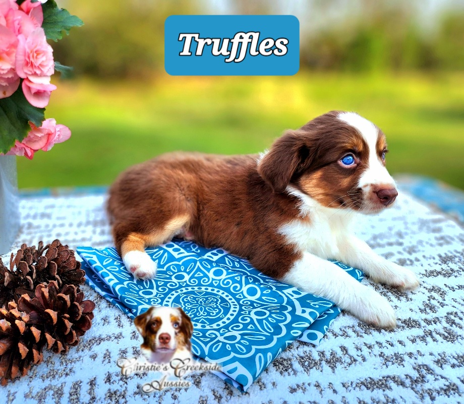 Flirty breeder image 46