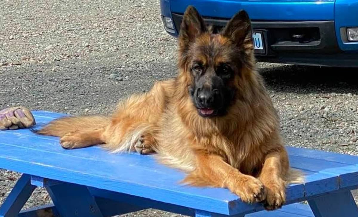 Katchina breeder image 4