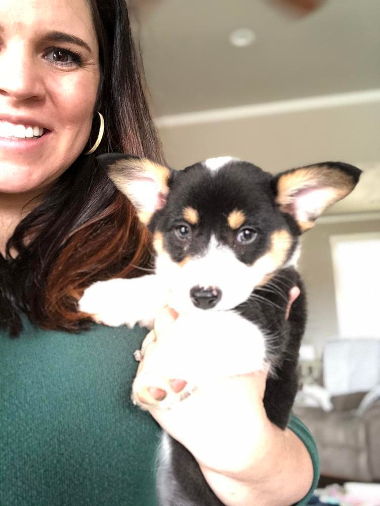 Lulu's Purple Girl breeder image 21