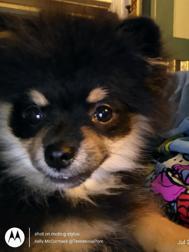 Milo breeder image 11