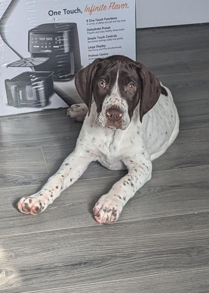 Molly breeder image 4