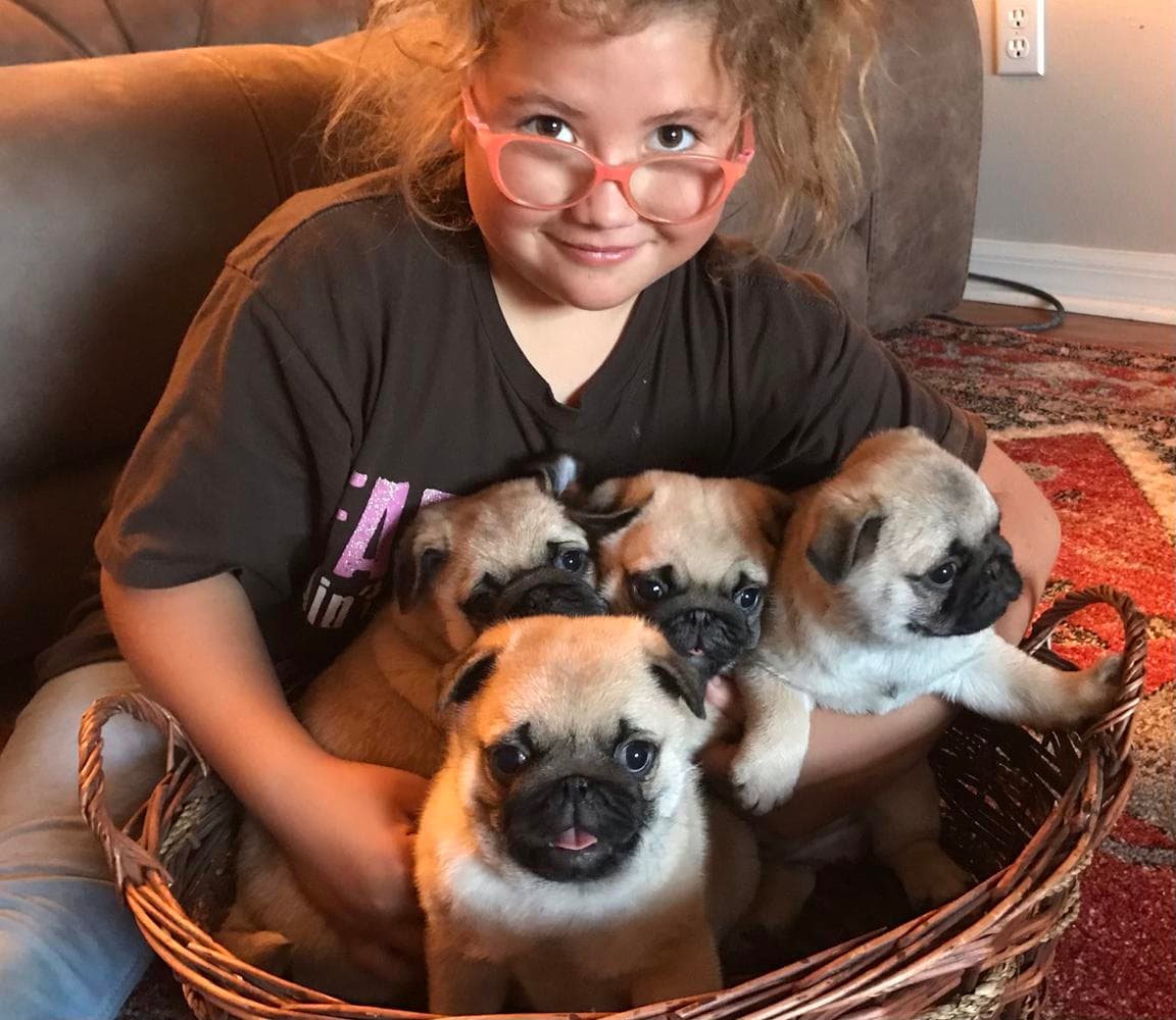 Boy 4 breeder image 37