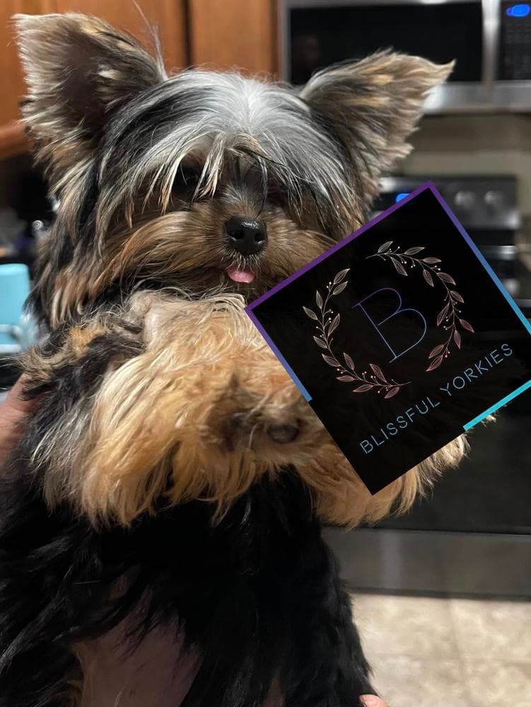 Titus breeder image 21